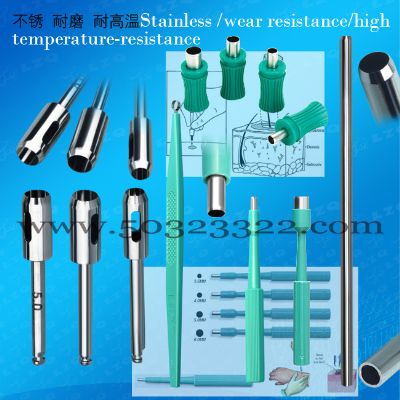 Biopsy Punch with Plunger System