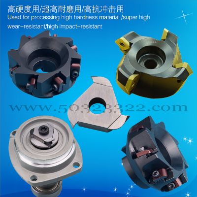 Cutting tools for  the food industry